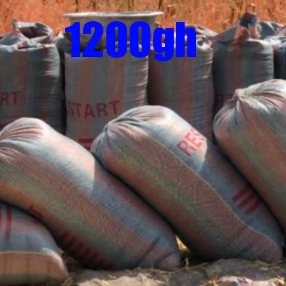 Quality Maize Agriculture for sale in Volta, Ghana