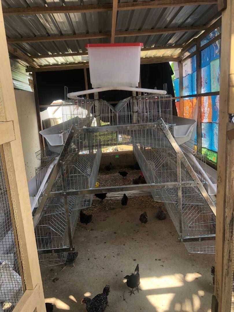 New battery cage Agriculture for sale in Achimota, Greater Accra, Ghana