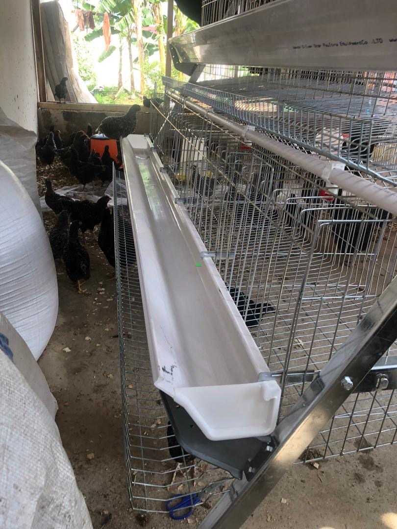 New battery cage Agriculture for sale in Achimota, Greater Accra, Ghana