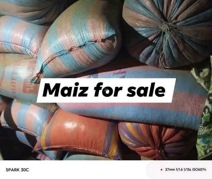 New Maiz,Beans,millet,Soya beans Agriculture for sale in Northern Region, Ghana