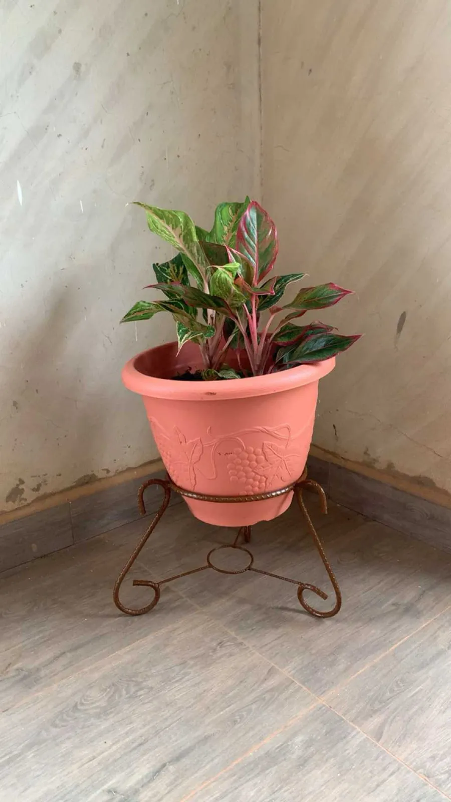 New Decorative pot plants for sale in Kumasi Metropolitan, Ashanti, Ghana