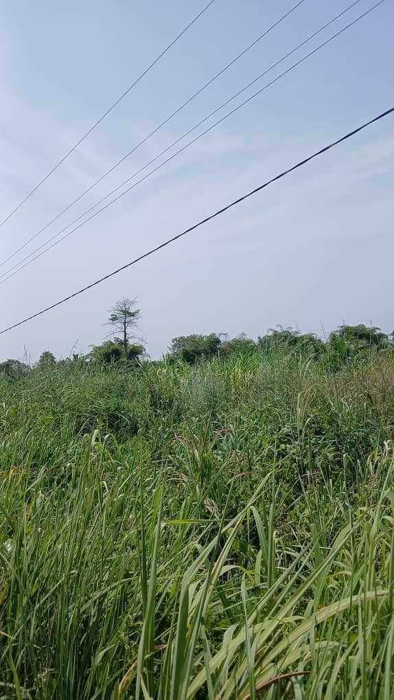 Mixed Property for sale in Volta Region, Ghana
