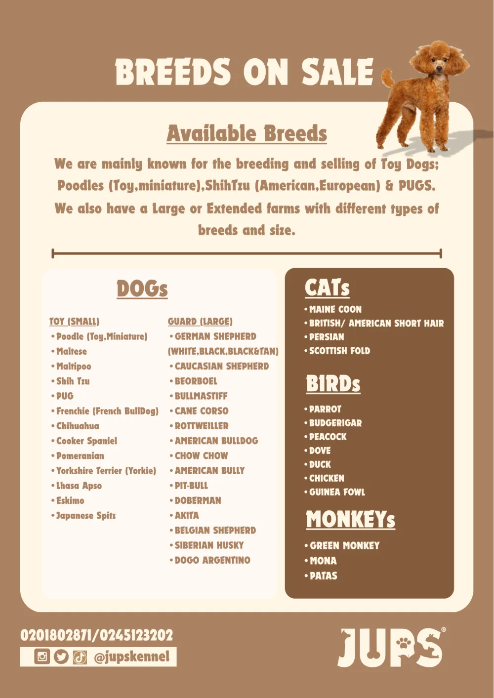 Juce Pet & Services for sale in Kwashieman, Greater Accra, Ghana