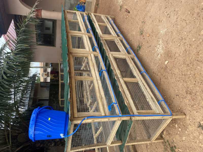 modern Rabbit cages for sale in Adenta, Greater Accra, Ghana