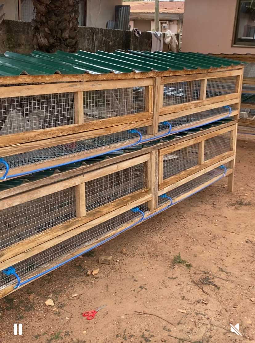 modern Rabbit cages for sale in Adenta, Greater Accra, Ghana