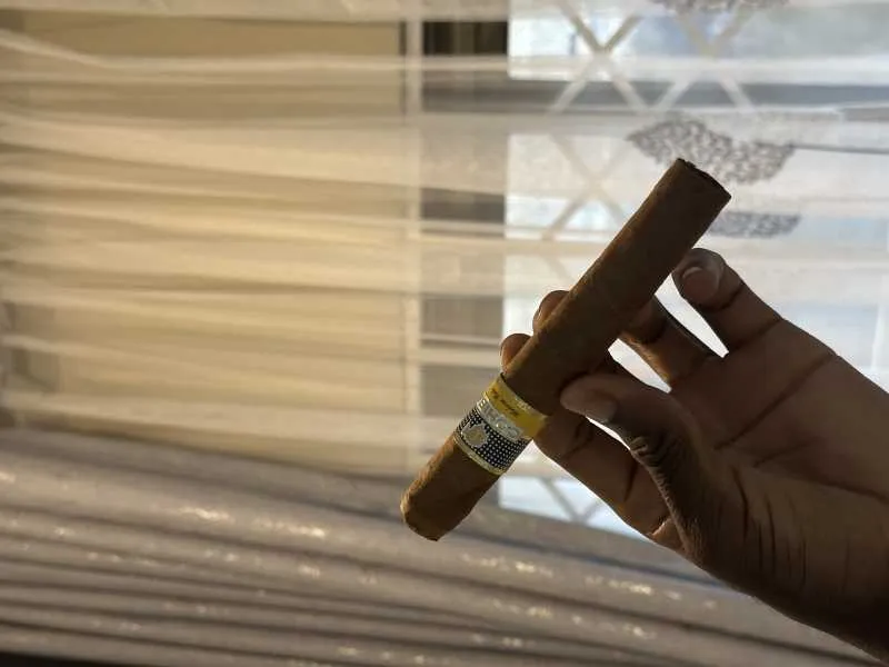 Cohiba cigars Agriculture for sale in Greater Accra, Ghana