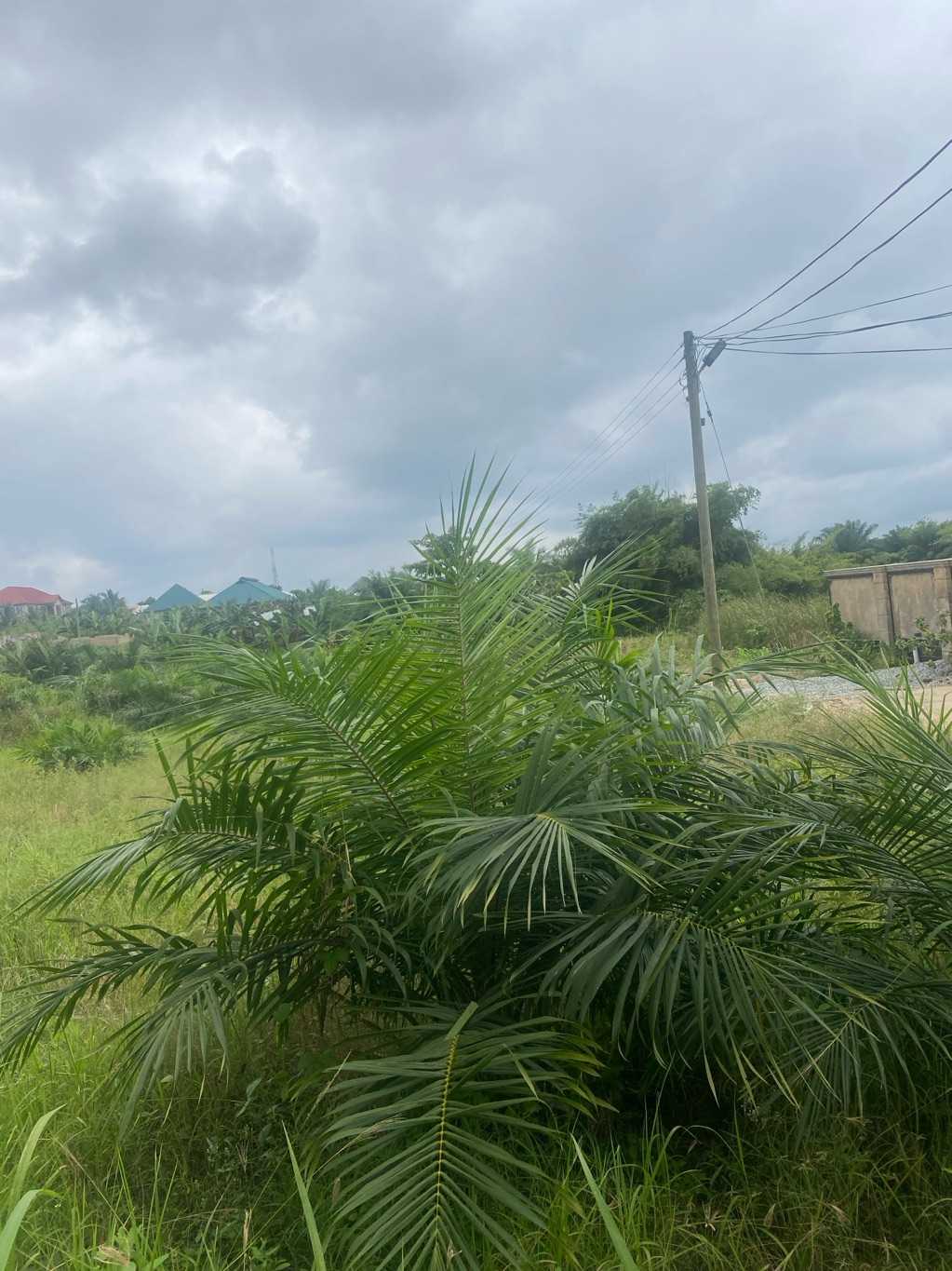 plot of land for sale for sale in Agona, Central, Ghana