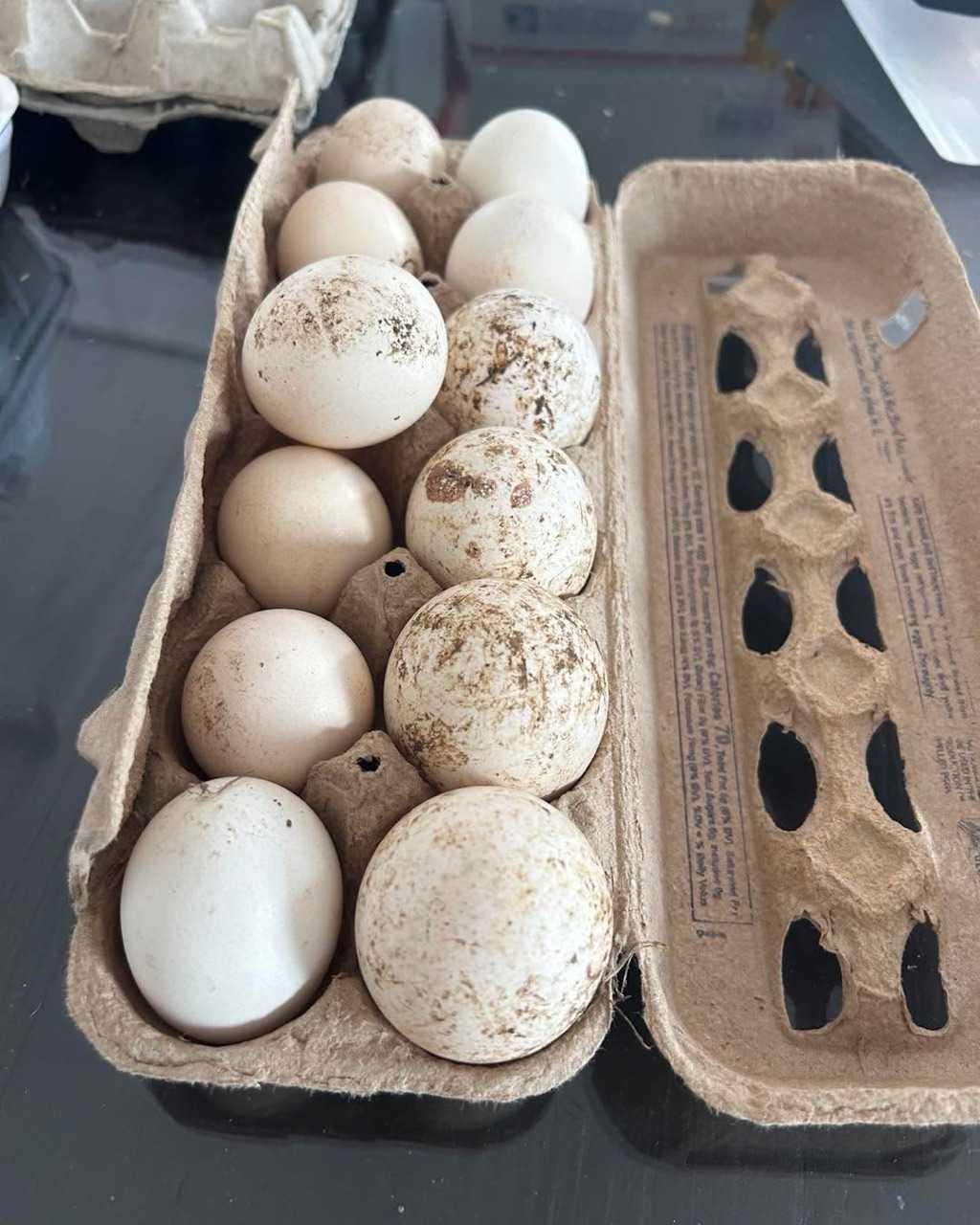 New Fertilized turkey eggs for sale in Achimota, Greater Accra, Ghana